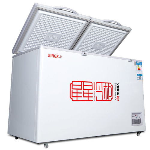 星星BCD-370E冰柜 商用雙溫大容量，冷藏冷凍保鮮的優解之選